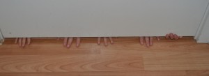 DSC_0011 (800x292)