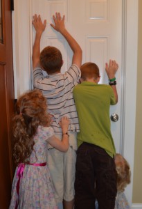 DSC_0017 (549x800) (2)